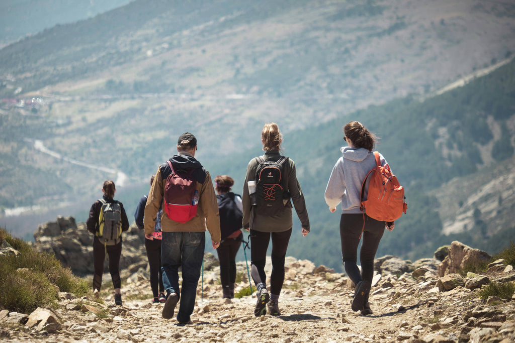 Group of hikers with backpacks walking on a mountain trail