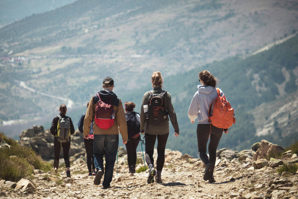 Group of hikers with backpacks walking on a mountain trail