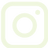 Social media icon
